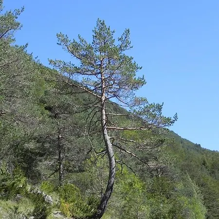 Caserón Baruca * Bielsa