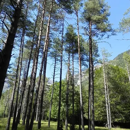 Caserón Baruca * Bielsa