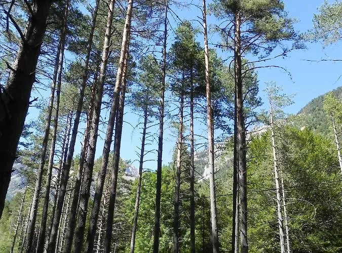 Caseron Baruca * Bielsa